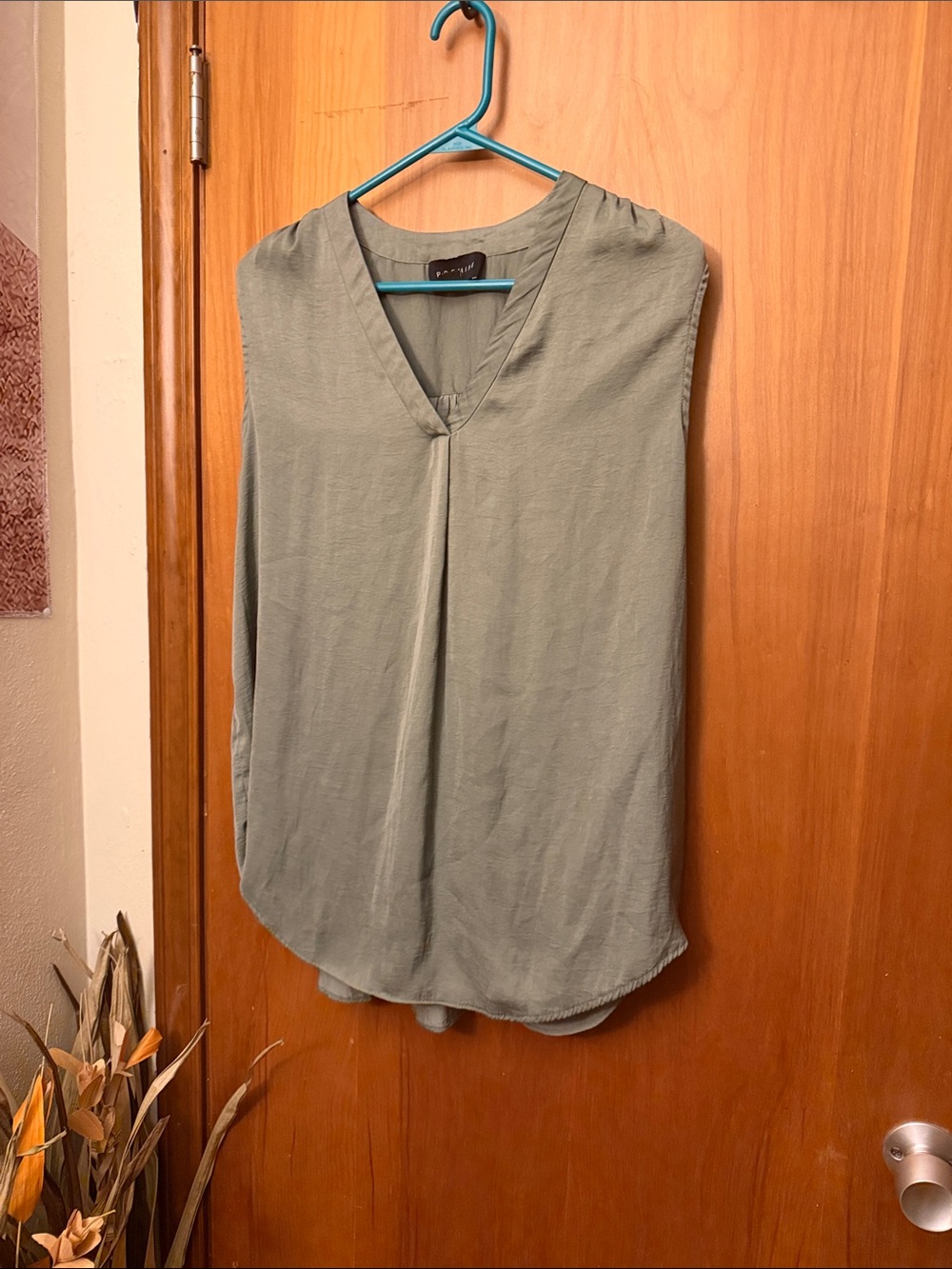 Premise V-Neck Sleeveless Tank in Sage Green